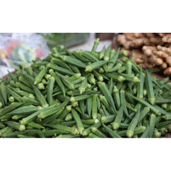 lady finger (6)-3233351-21224.webp